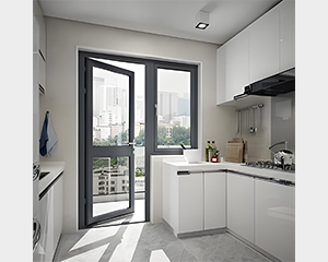 Swing Door