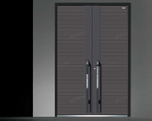Security Door 
